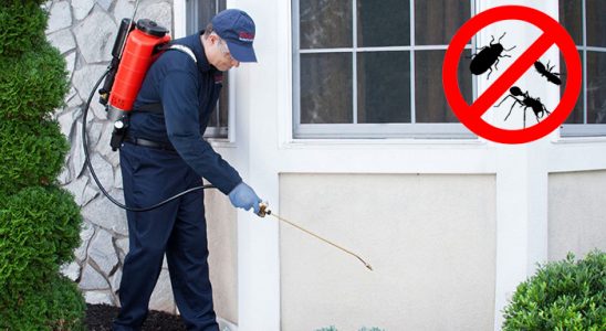 Kovancılar Sivrisinek İlaçlama böcek ilaçlama ve haşere kontrolü — ilaclama-tr.com
